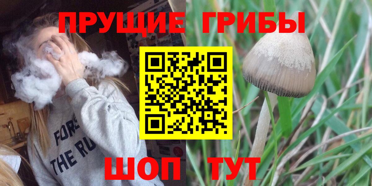 Прохладный  Галлюциногенные грибы Magic Shrooms  хочу   Галлюциногенные грибы MAGIC MUSHROOMS  Вход с VPN 