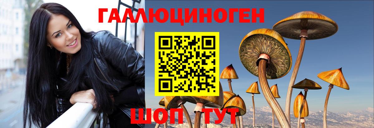 Псилоцибиновые грибы MAGIC MUSHROOMS Прохладный
